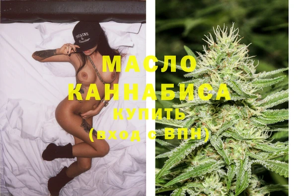 стафф Вязьма