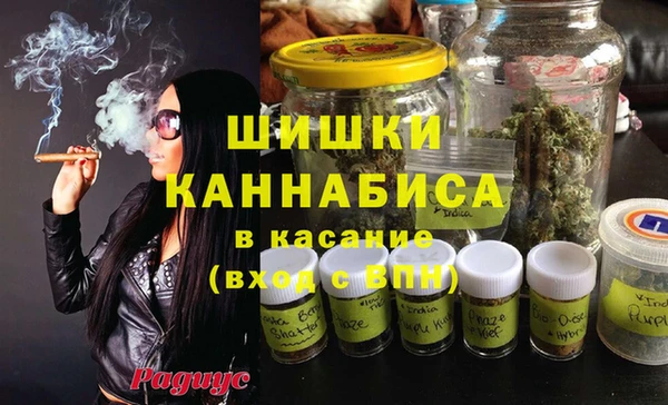 стафф Вязьма