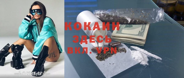 ПСИЛОЦИБИНОВЫЕ ГРИБЫ Вязники