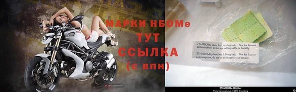 ПСИЛОЦИБИНОВЫЕ ГРИБЫ Вязники