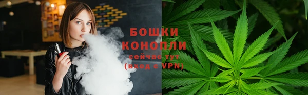 МДПВ Вяземский