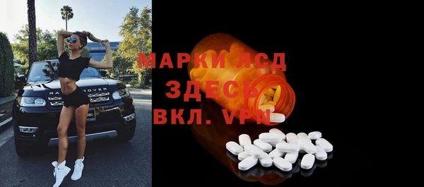 стафф Вязьма