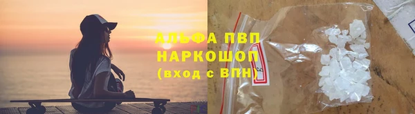 стафф Вязьма