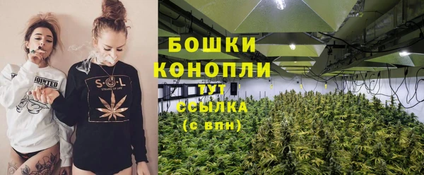 МДПВ Вяземский