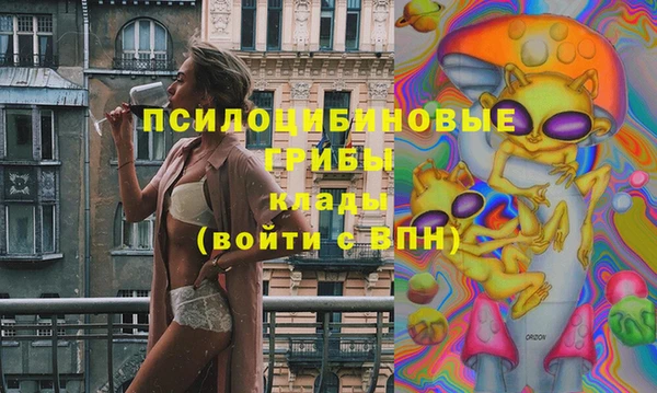 стафф Вязьма