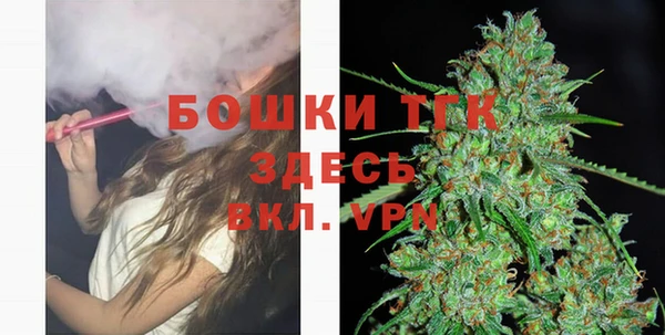стафф Вязьма