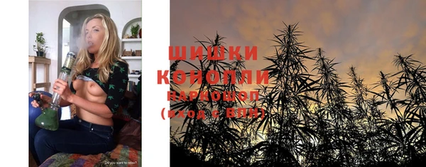 МДПВ Вяземский