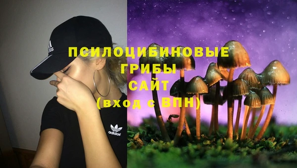 стафф Вязьма