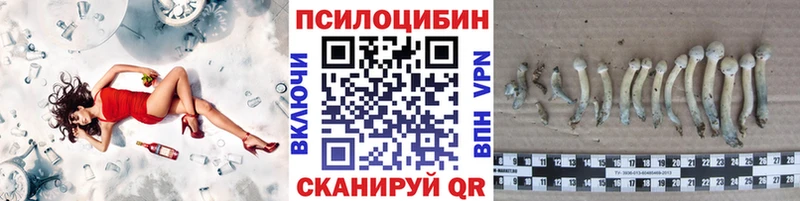 Купить где  Кирс  Псилоцибиновые грибы мицелий 